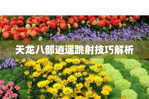 天龙八部逍遥跳射技巧解析 天龙八部逍遥跳射技巧解析