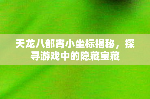 天龙八部宵小坐标揭秘,探寻游戏中的隐藏宝藏 天龙八部宵小坐标揭秘,探寻游戏中的隐藏宝藏