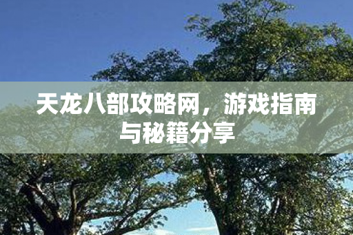 天龙八部攻略网,游戏指南与秘籍分享 天龙八部攻略网,游戏指南与秘籍分享