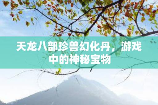 天龙八部珍兽幻化丹，游戏中的神秘宝物