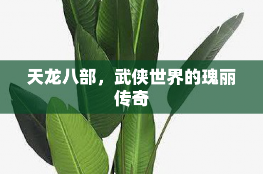 天龙八部，武侠世界的瑰丽传奇