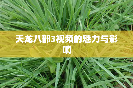 天龙八部3视频的魅力与影响