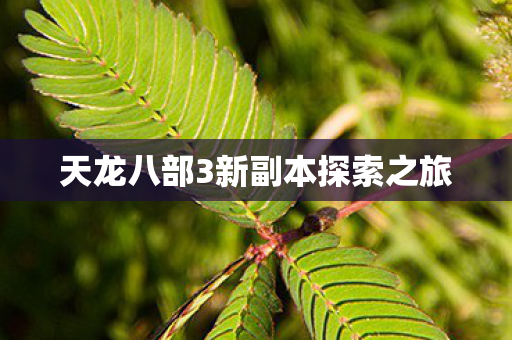 天龙八部3新副本探索之旅 天龙八部3新副本探索之旅