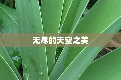 无尽的天空之美