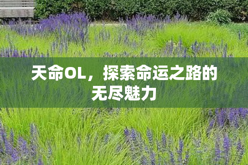 天命OL，探索命运之路的无尽魅力