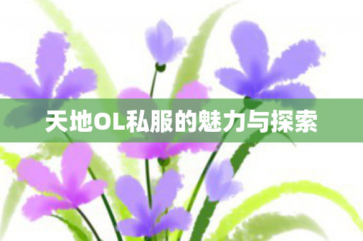 天地OL私服的魅力与探索 天地OL私服的魅力与探索