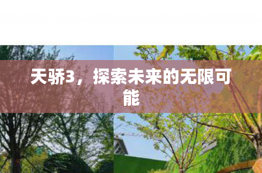 天骄3,探索未来的无限可能 天骄3,探索未来的无限可能