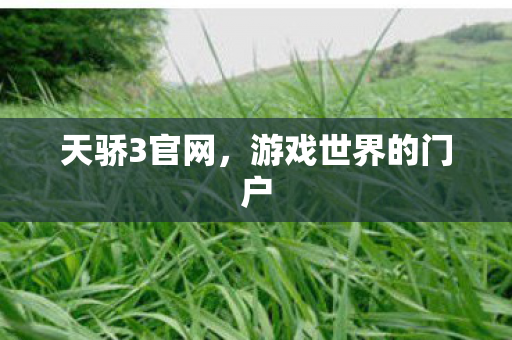 天骄3官网，游戏世界的门户