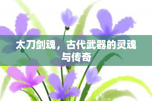 太刀剑魂，古代武器的灵魂与传奇