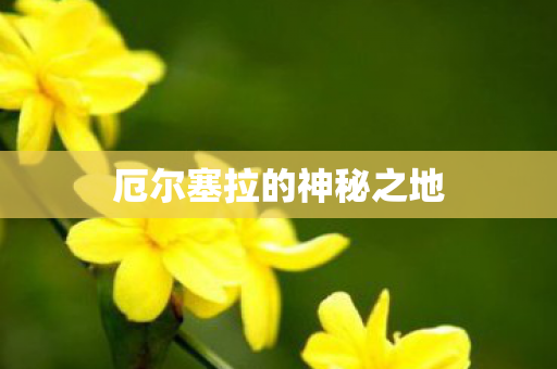 厄尔塞拉的神秘之地 厄尔塞拉的神秘之地