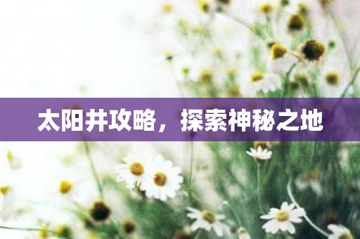 太阳井攻略，探索神秘之地