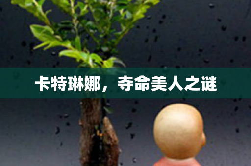 卡特琳娜,夺命美人之谜 卡特琳娜,夺命美人之谜