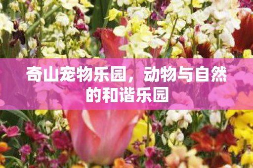 奇山宠物乐园,动物与自然的和谐乐园 奇山宠物乐园,动物与自然的和谐乐园