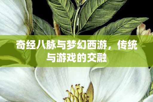 奇经八脉与梦幻西游,传统与游戏的交融 奇经八脉与梦幻西游,传统与游戏的交融