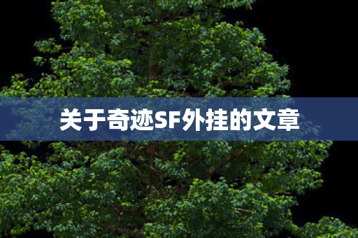 关于奇迹SF外挂的文章 关于奇迹SF外挂的文章