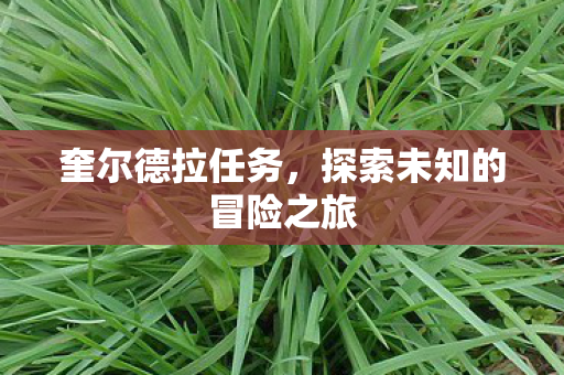 奎尔德拉任务，探索未知的冒险之旅