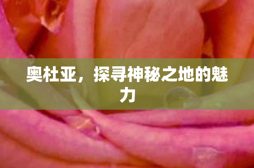 奥杜亚，探寻神秘之地的魅力