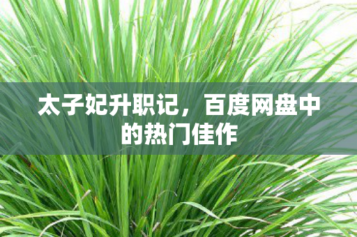 太子妃升职记，百度网盘中的热门佳作