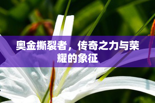 奥金撕裂者，传奇之力与荣耀的象征