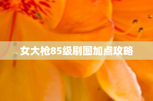 女大枪85级刷图加点攻略
