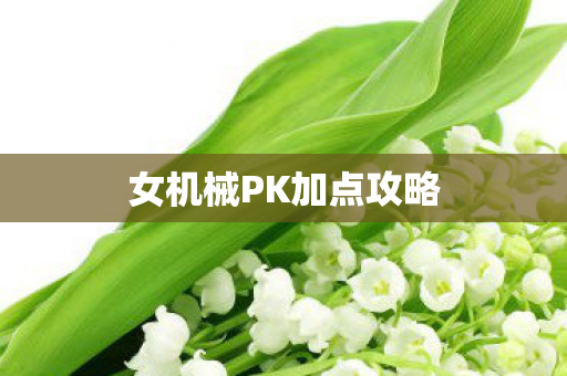 女机械PK加点攻略 女机械PK加点攻略