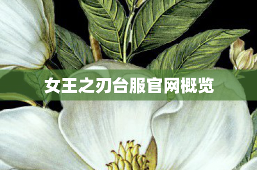 女王之刃台服官网概览 女王之刃台服官网概览