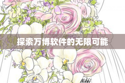 探索万博软件的无限可能 探索万博软件的无限可能
