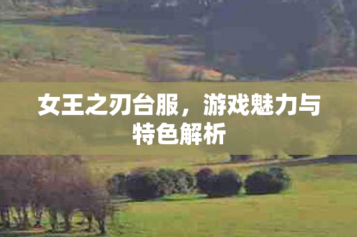 女王之刃台服，游戏魅力与特色解析