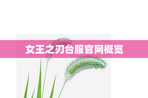 女王之刃台服官网概览