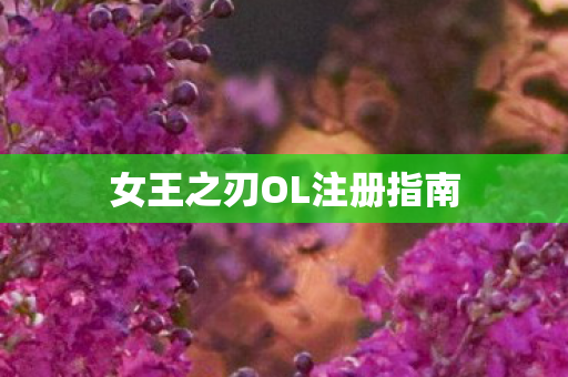 女王之刃OL注册指南