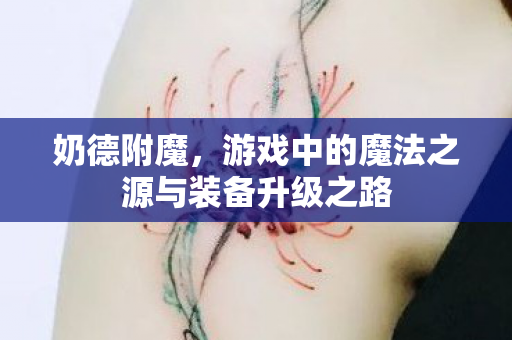 奶德附魔,游戏中的魔法之源与装备升级之路 奶德附魔,游戏中的魔法之源与装备升级之路