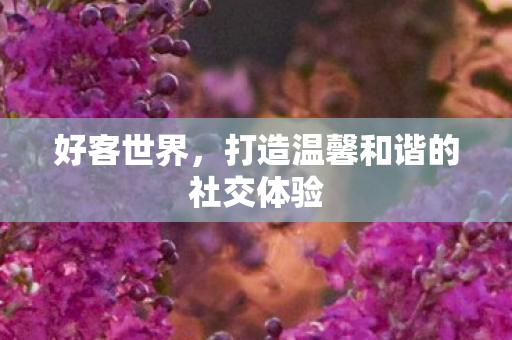 好客世界,打造温馨和谐的社交体验 好客世界,打造温馨和谐的社交体验