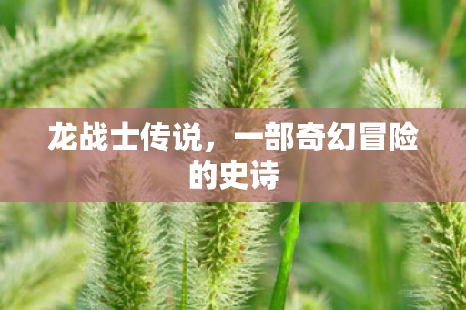 龙战士传说，一部奇幻冒险的史诗