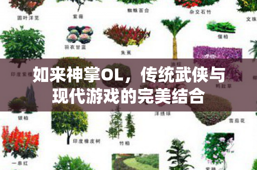 如来神掌OL，传统武侠与现代游戏的完美结合
