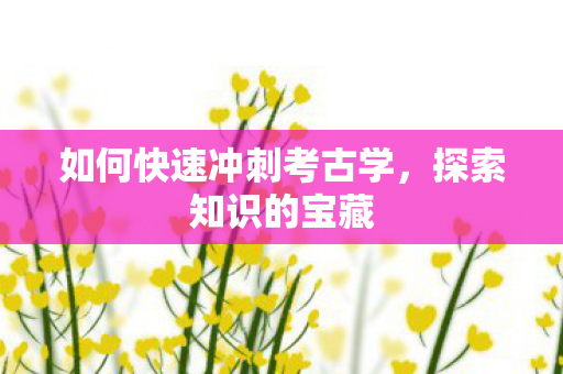 如何快速冲刺考古学，探索知识的宝藏