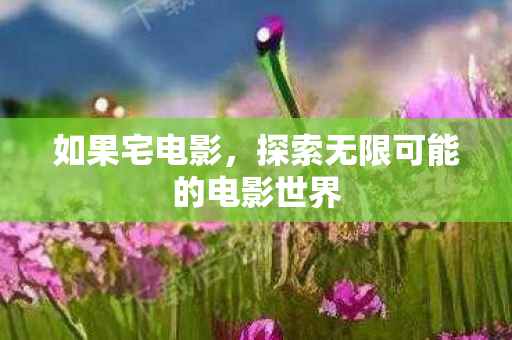 如果宅电影,探索无限可能的电影世界 如果宅电影,探索无限可能的电影世界