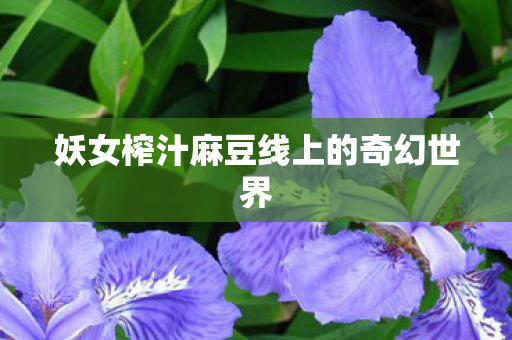 妖女榨汁麻豆线上的奇幻世界