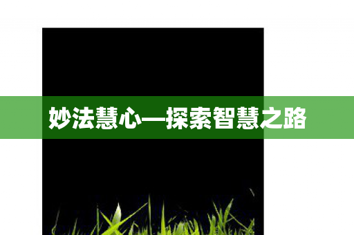 妙法慧心—探索智慧之路 妙法慧心—探索智慧之路