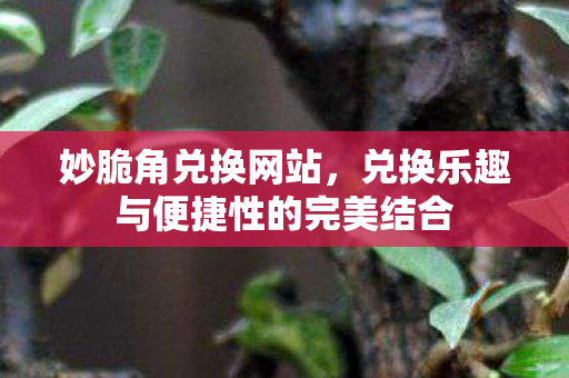 妙脆角兑换网站，兑换乐趣与便捷性的完美结合