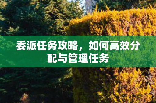 委派任务攻略，如何高效分配与管理任务