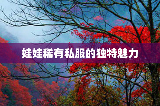 娃娃稀有私服的独特魅力 娃娃稀有私服的独特魅力