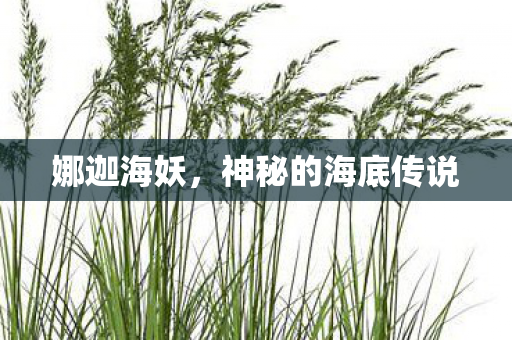 娜迦海妖，神秘的海底传说