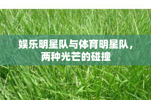 娱乐明星队与体育明星队,两种光芒的碰撞 娱乐明星队与体育明星队,两种光芒的碰撞