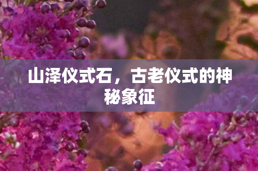 山泽仪式石，古老仪式的神秘象征