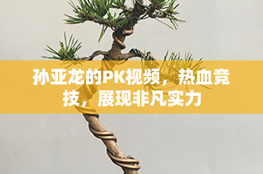 孙亚龙的PK视频，热血竞技，展现非凡实力