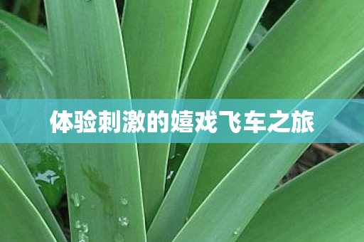 体验刺激的嬉戏飞车之旅