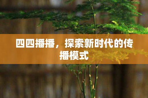 四四播播，探索新时代的传播模式