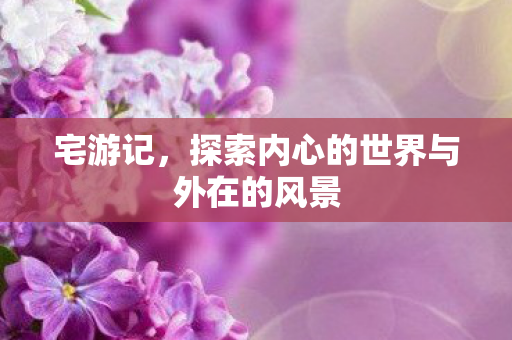 宅游记，探索内心的世界与外在的风景