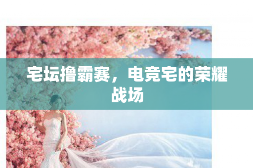 宅坛撸霸赛，电竞宅的荣耀战场