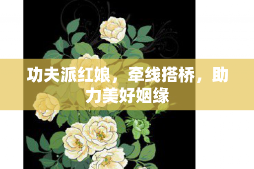 功夫派红娘，牵线搭桥，助力美好姻缘